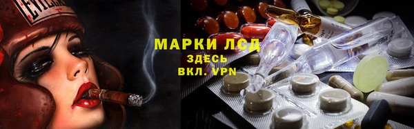 индика Абинск