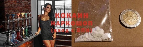 индика Абинск