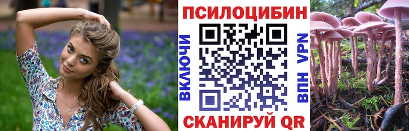 Псилоцибиновые грибы мухоморы  МЕГА ссылка  Пудож 